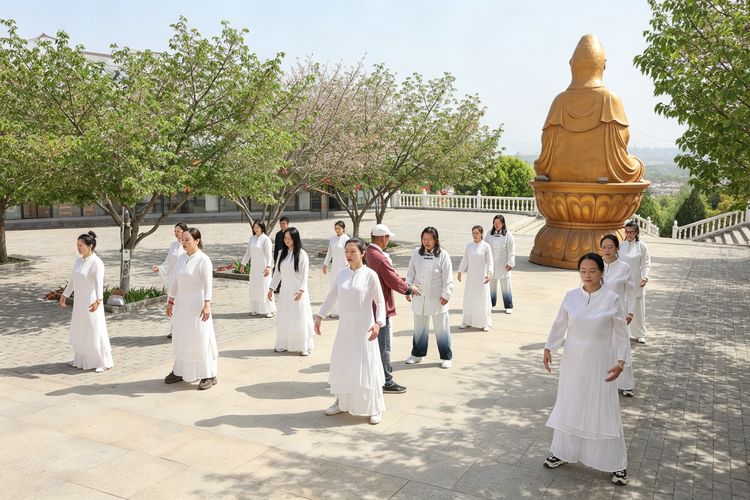 Traditional Chinese Medicine: Meridian Therapy, Moxibustion and Holistic Wellness Culture