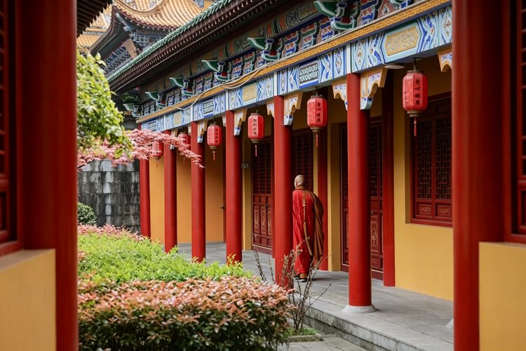 The Five Elements of Chinese Wisdom: Balance Between Nature, Body and Life