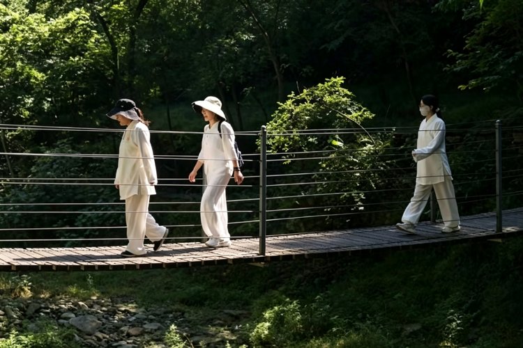 The Healing Power of Slow Living: What Zen Culture Can Teach Modern Travelers