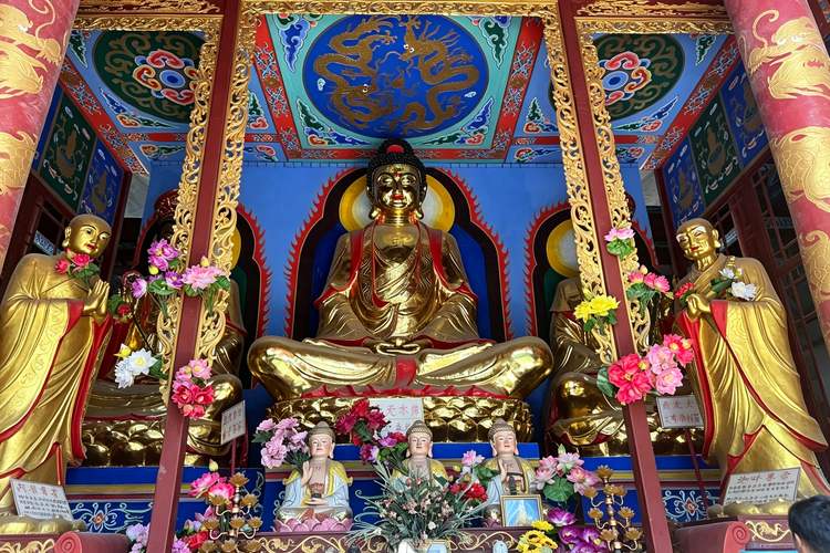Buddhist Art in China: How Ancient Sculptures Express Spiritual Wisdom and Human Emotion