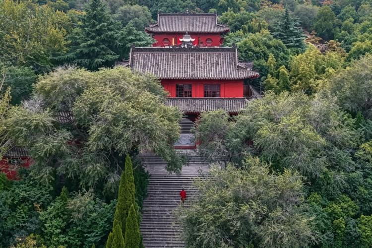 A Journey Into Chinese Wisdom: Exploring Zen, Daoism and Traditional Culture in China