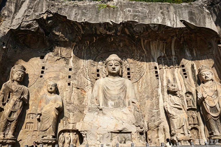 Longmen Grottoes Buddhist Heritage Experience