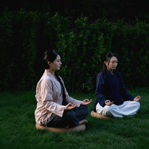 Wellness Retreat Experience