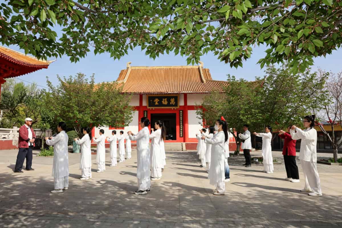 Temple Life Temple Life