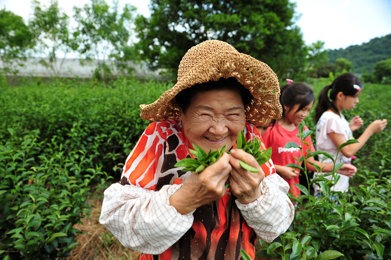 One-on-one tea instruction with farmer